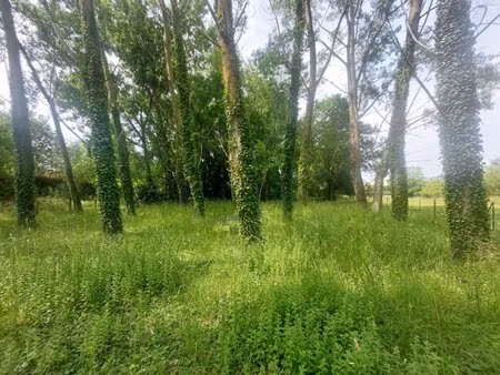 en vente terrain non constructible 2 160 m² – 8 049 € |la flèche