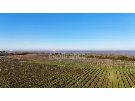 propriété à vendre saint yzans de medoc 12 pièce(s) 1357m2 1 957 000€