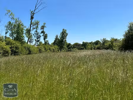 vente terrain 4696 m² le blanc (36300)
