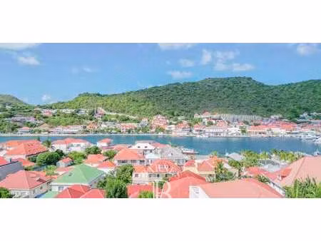 appartement avec terrasse saint-barthélemy (971)