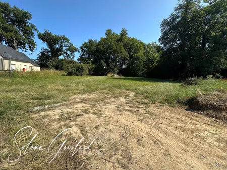 vente terrain 1139 m² rieux (56350)