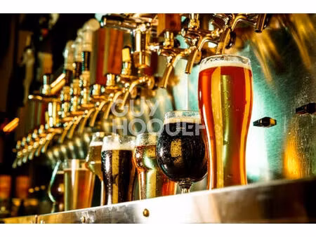 vente commerce bages (66670)