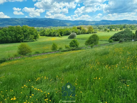 terrain 1000m2 à ambert
