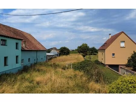 terrain witternheim m² t- à vendre  135 000 €