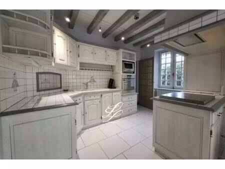 vente - maison 6 pièces 204 m2 aigne