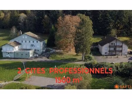 vente commerce 20 pièces 1500 m² combrimont (88490)