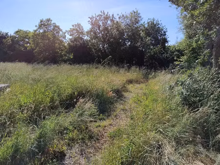 vente terrain 520 m² à moëze (17780)  52 000 €