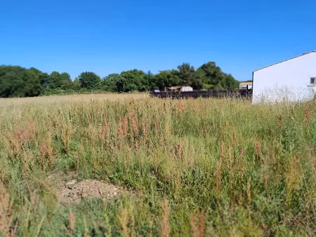 vente terrain 628 m² à port-d'envaux (17350)  60 000 €