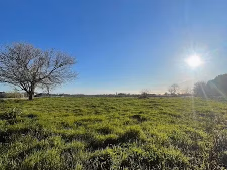 vente terrain 1190 m² à saint-aubin-de-blaye (33820)  49 000 €