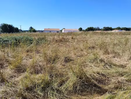 vente terrain 707 m² à port-d'envaux (17350)  70 000 €