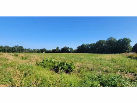 vente terrain 585 m² à tercis-les-bains (40180)  93 732 €