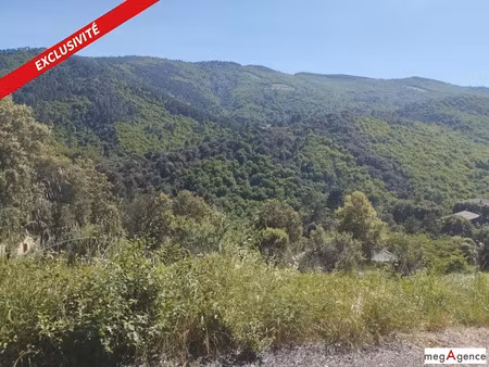 vente terrain 2500 m² à sainte-croix-vallée-française (48110)  75 000 €