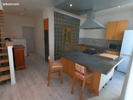 appartement 110 avec grande mezzanine