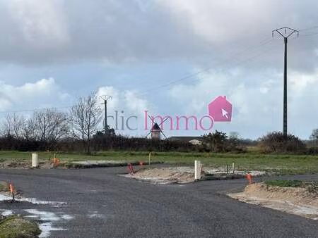 vente terrain à sallertaine (85300) : à vendre / sallertaine