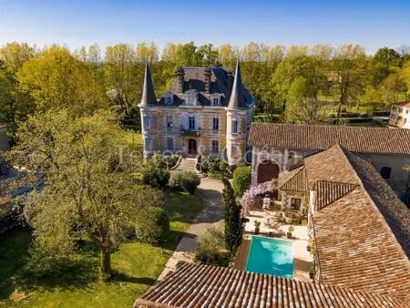 chateau avec dependances entre peyrehorade et dax