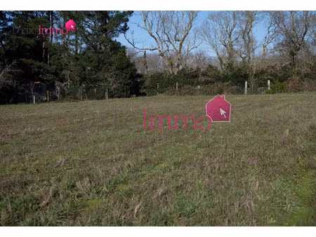 vente terrain à soullans (85300) : à vendre / soullans