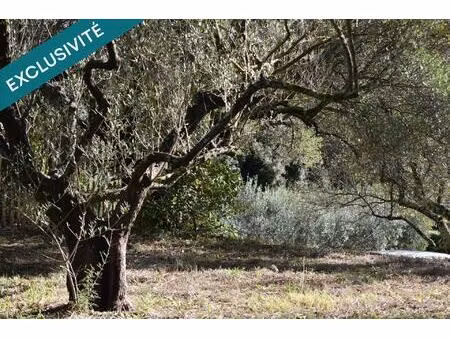 terrain à bâtir de 702m² - pignans