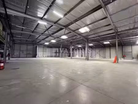 entrepot - logistique à louer