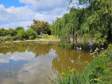 vente etang mesanger (44)