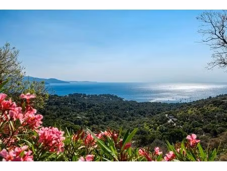 terrain de 1250 m2 en vente - bormes-les-mimosas  france