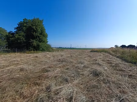 achat terrain 2 643m² rocquigny 62450