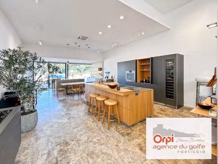 vente local commercial 93m2 porticcio 20166 - 18000 € - surface privée