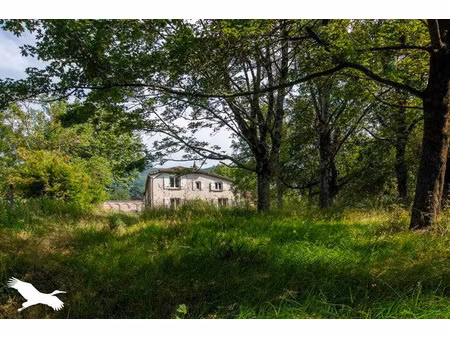 vente maison 40 pièces 505 m² à dourgne (81110)  320 000 €