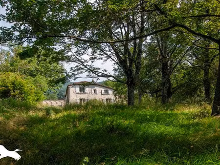 vente maison 40 pièces 505 m² à dourgne (81110)  340 000 €