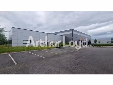 local d'activité - 837 m²