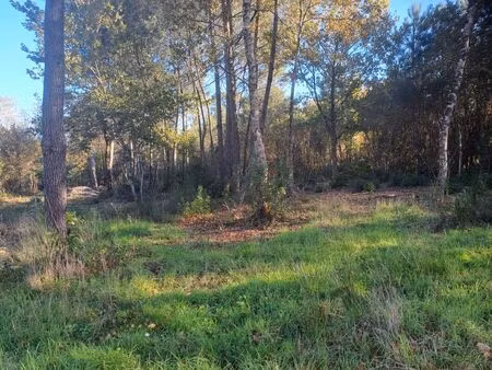 vente maison 3658 m² saint-sauveur (33250)