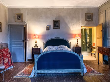vente maison 10 pièces 400 m² molières (82220)