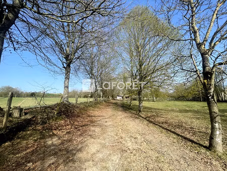 magnifique terrain 67300 m2 avec parcelle constructible