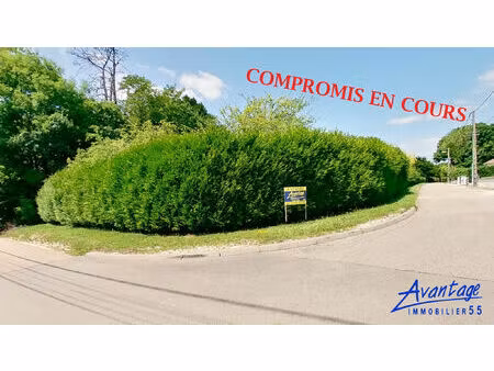 vente terrain 1080 m² bar-le-duc (55000)