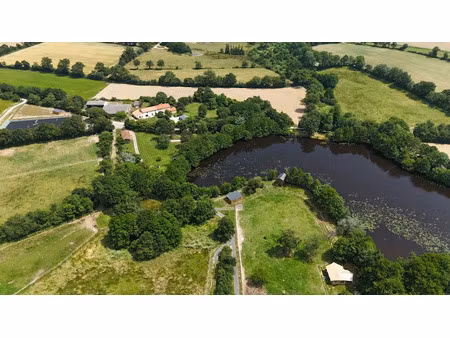 vente propriété 7 pièces 200 m² à saint-florent-des-bois (85310)  1 312 500 €