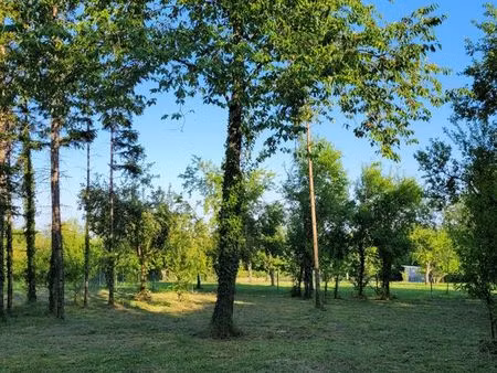 terrain de loisirs / verger