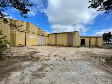 vente local d'activités thiverval-grignon 78850