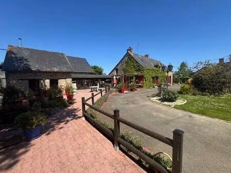 vente maison viager à châteaubriant centre (44110) : à vendre viager / 253m² châteaubriant