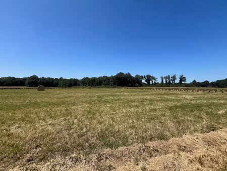 vente terrain 1090 m² à chérac (17610)  38 150 €