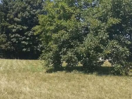 terrain constructible