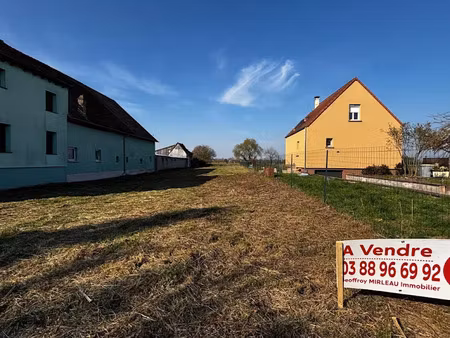 vente terrain à batir 997 m² à witternheim (67230)  129 000 €