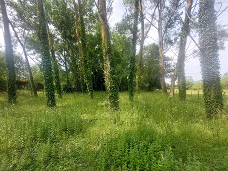 au bord du loir  à proximité immédiate du centre-ville de la