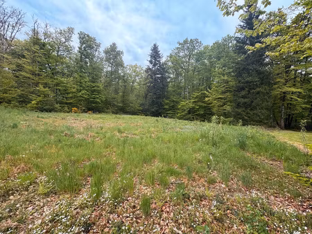 terrain à liginiac en corrèze