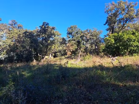 quartier de valescure