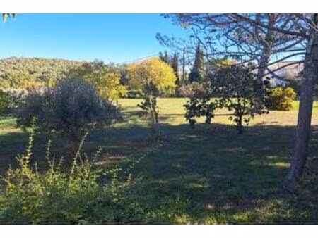 magnifique terrain plat