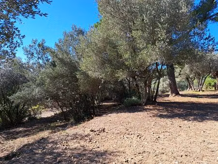 vue panoramique sur la plaine
