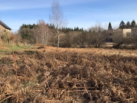 terrain à vitrac sur montane en corrèze