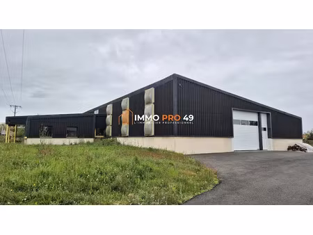 location locaux professionnels 0 pièces 750 m² à sèvremoine (49450)  2 500 €