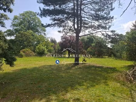 terrain arboré 1 991 m² – 600 m² constructibles – tournef