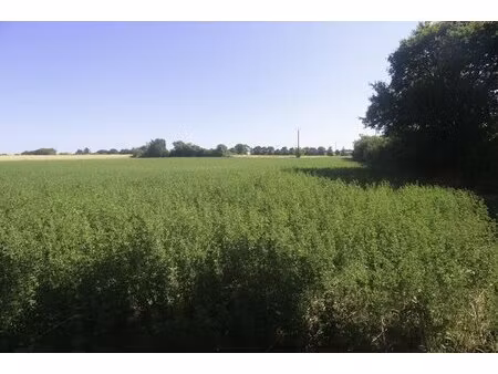 terrain constructible