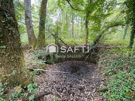terrain non constructible avec mare et chênes